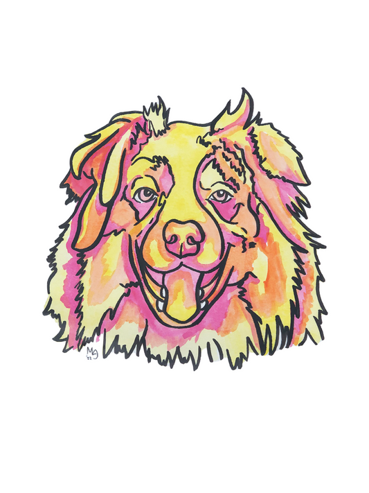 Australian Shepherd Colorful Pet Portrait