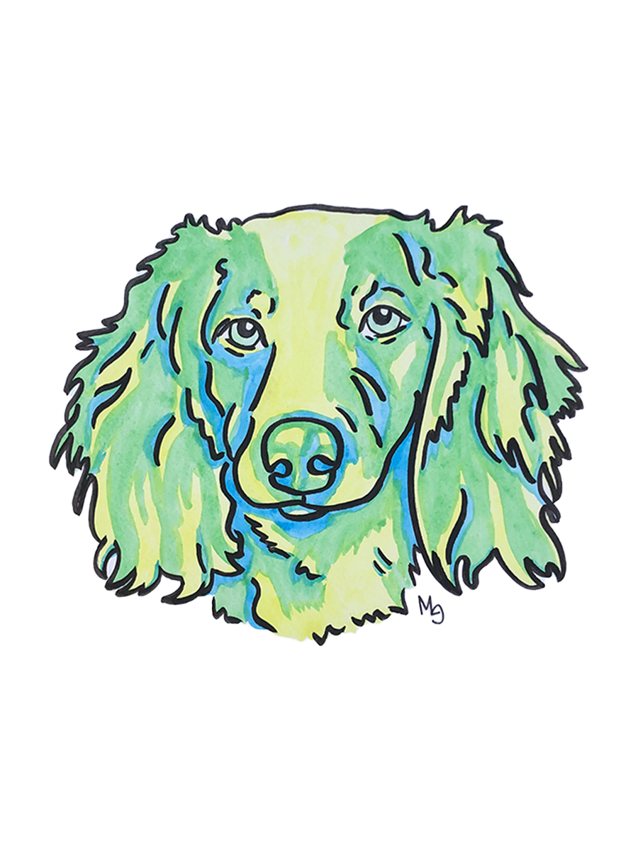 Dachshund (Long Haired) Colorful Pet Portrait