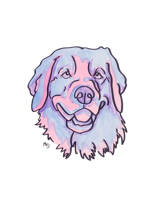 Retriever Colorful Pet Portrait