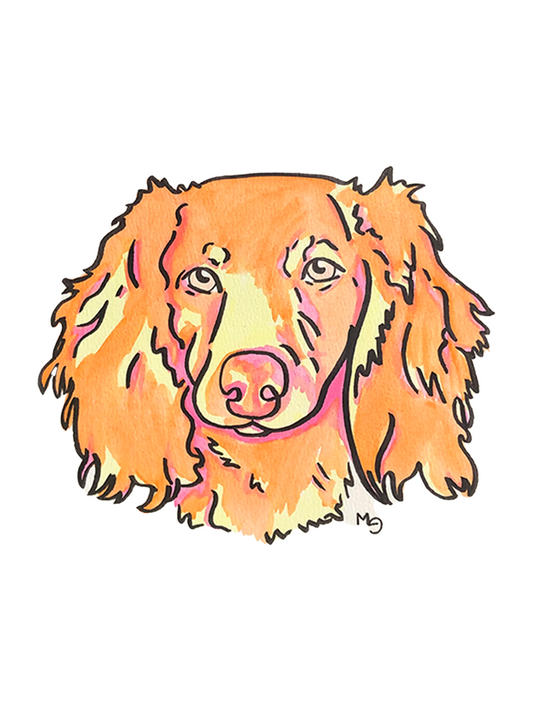 Dachshund (Long Haired) Colorful Pet Portrait