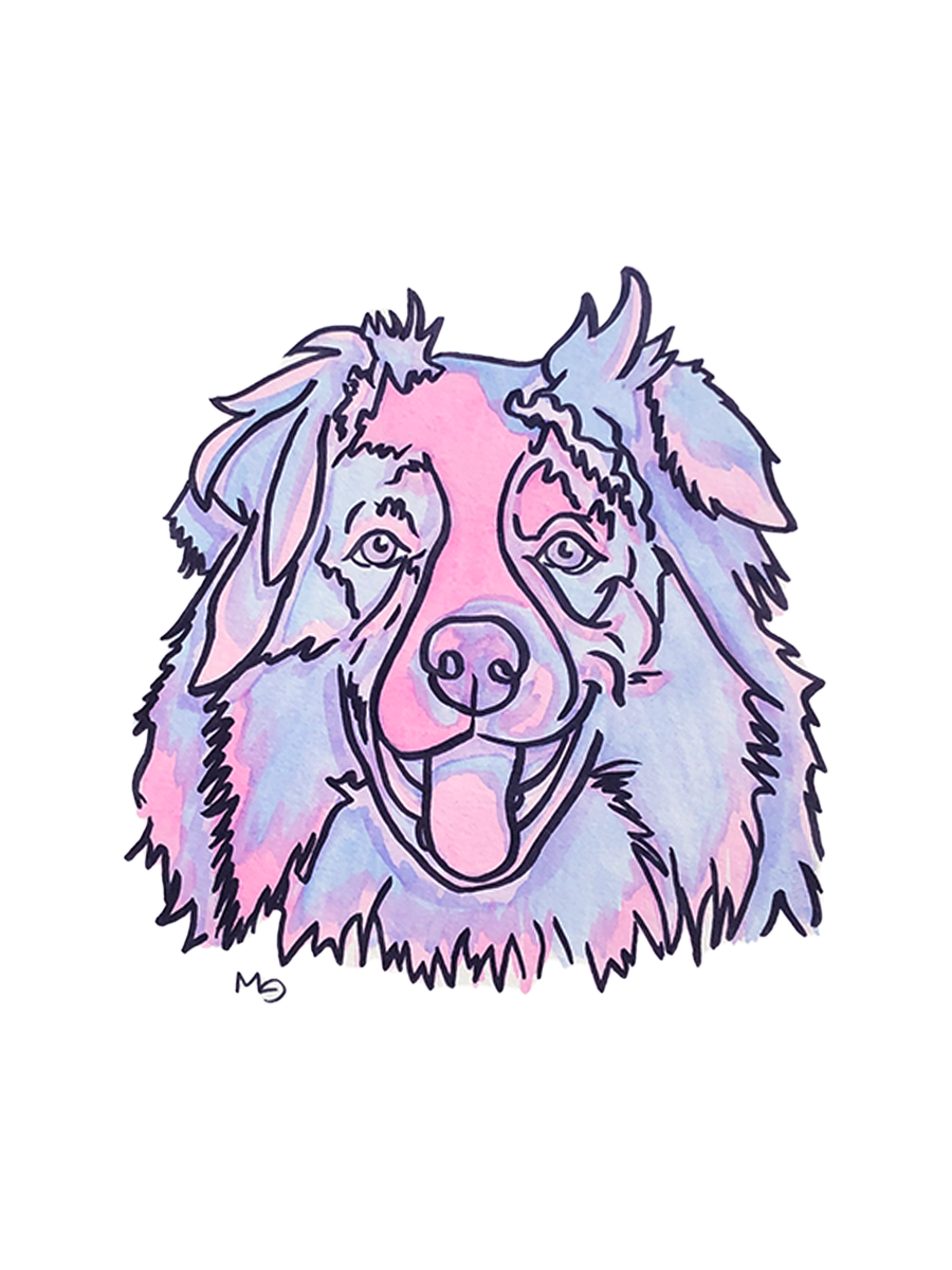 Australian Shepherd Colorful Pet Portrait