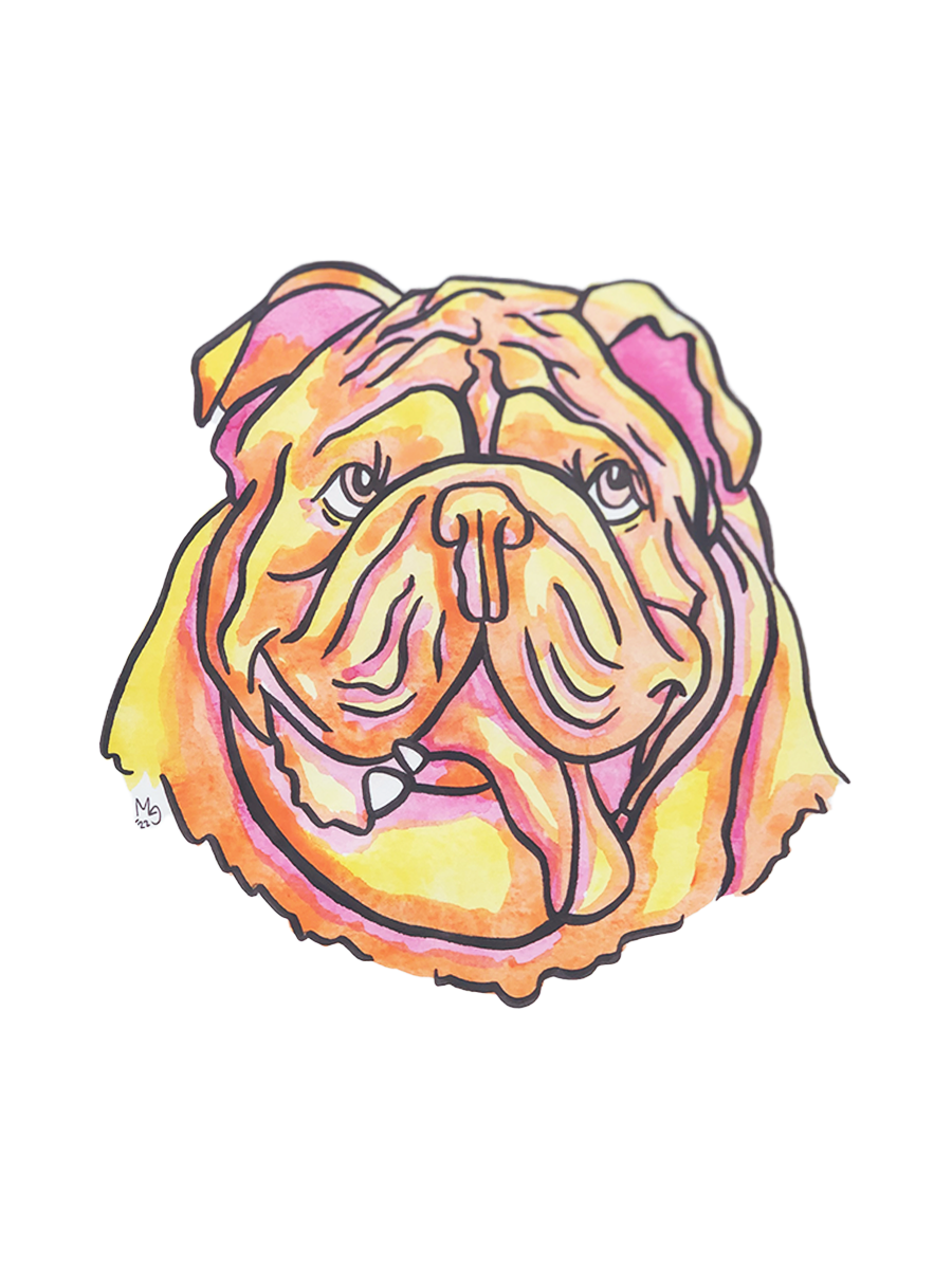 Bulldog Colorful Pet Portrait