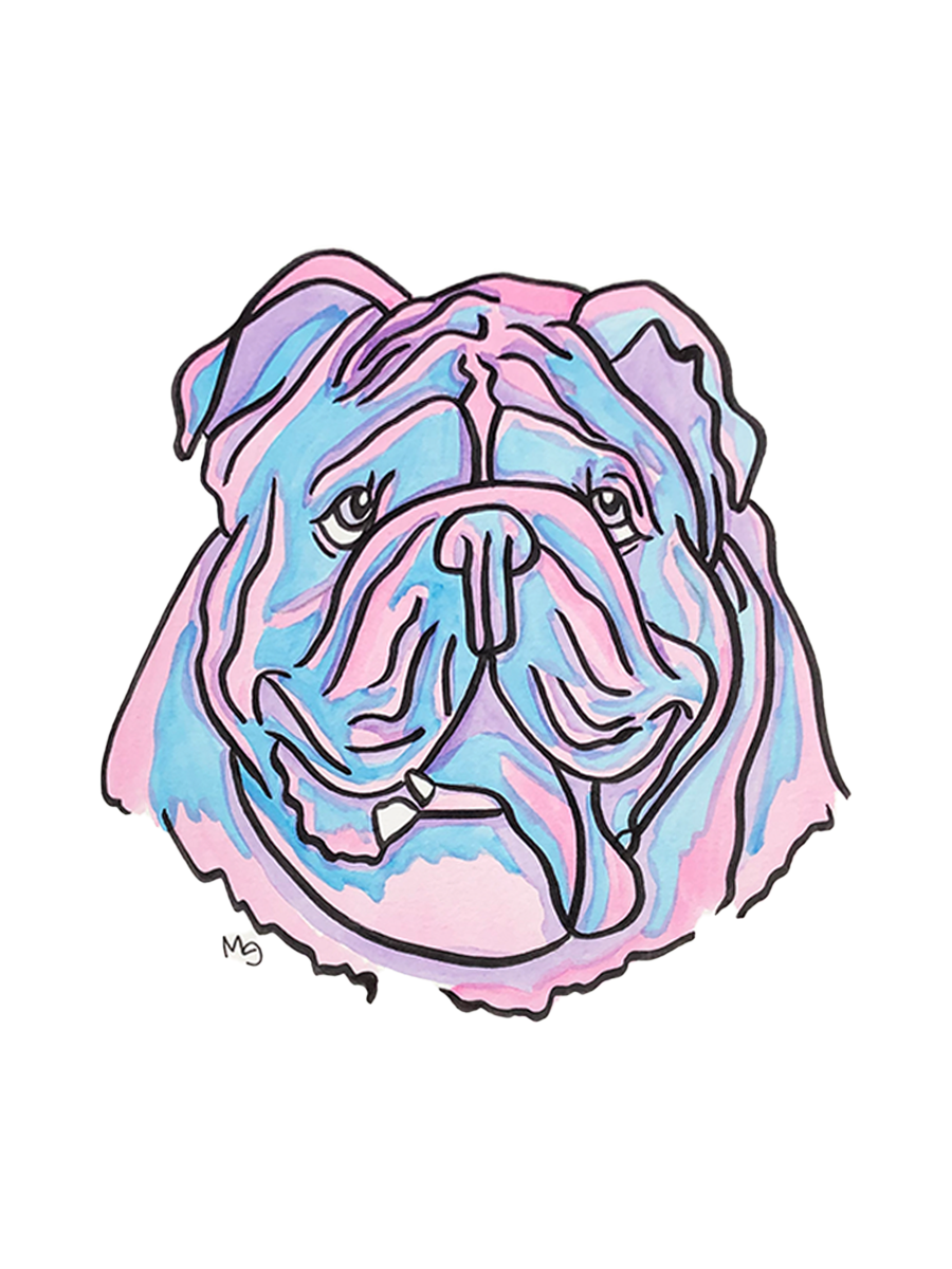 Bulldog Colorful Pet Portrait