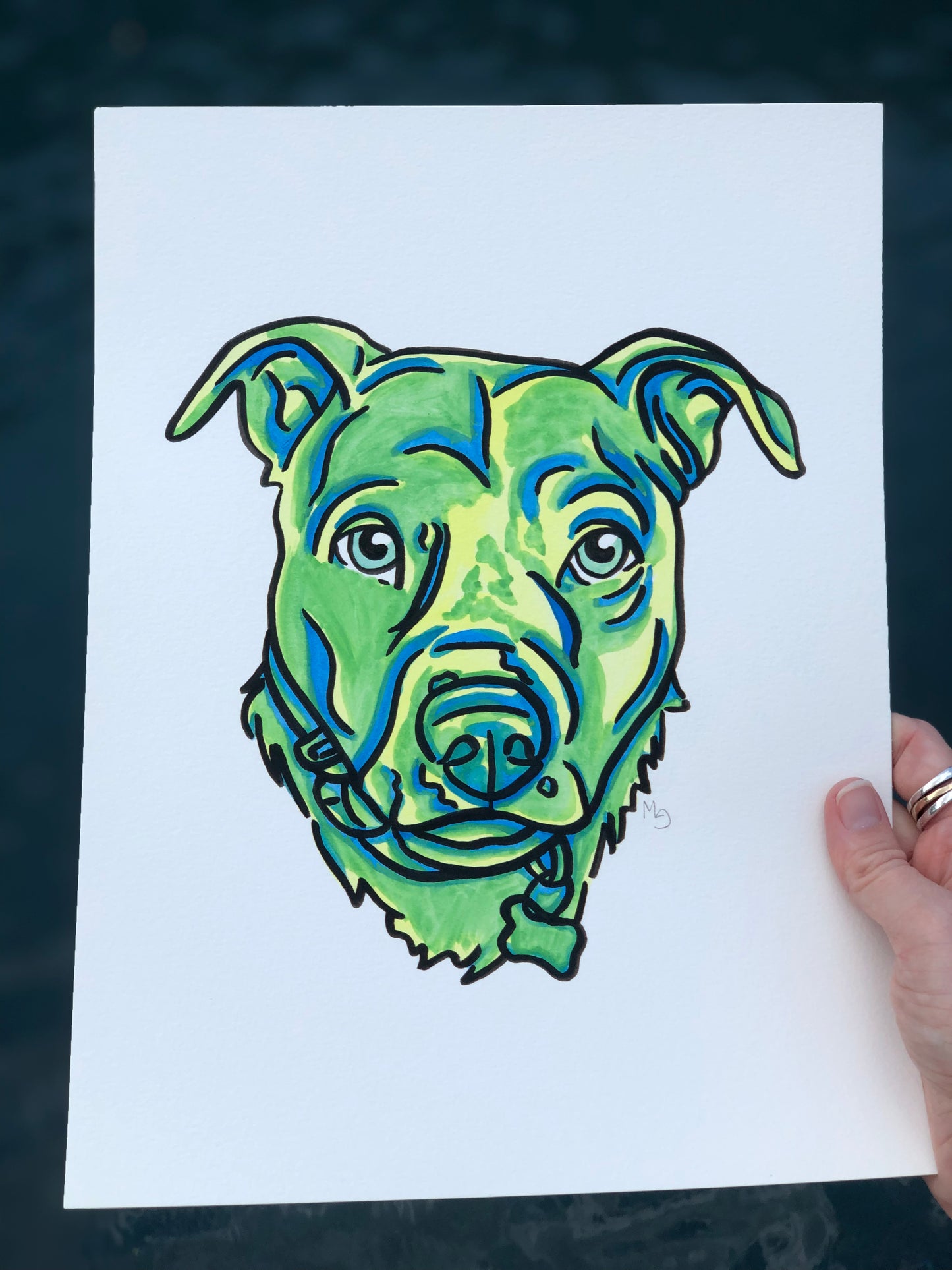 1 Pet- Custom Colorful Pet Portrait
