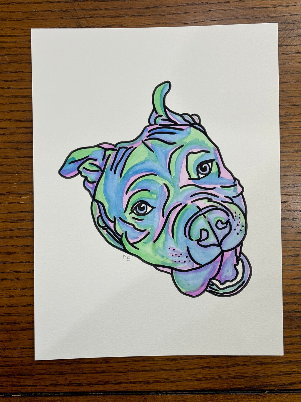 2 Pets- Custom Colorful Pet Portrait