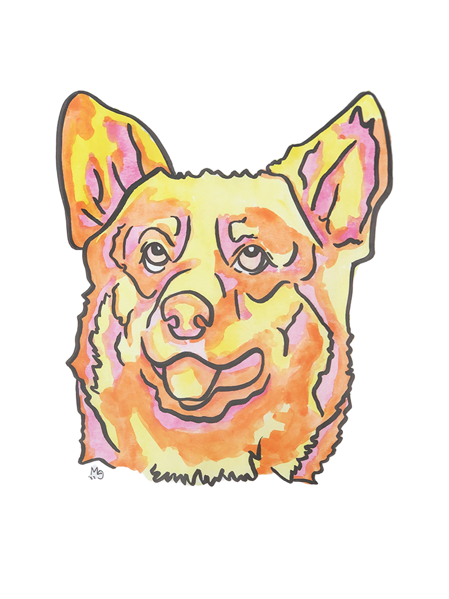 Corgi Colorful Pet Portrait