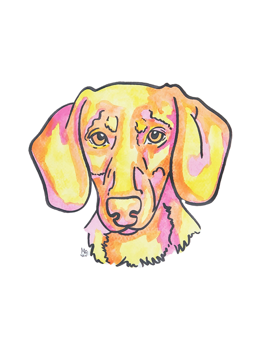 Dachshund (Short Haired) Colorful Pet Portrait