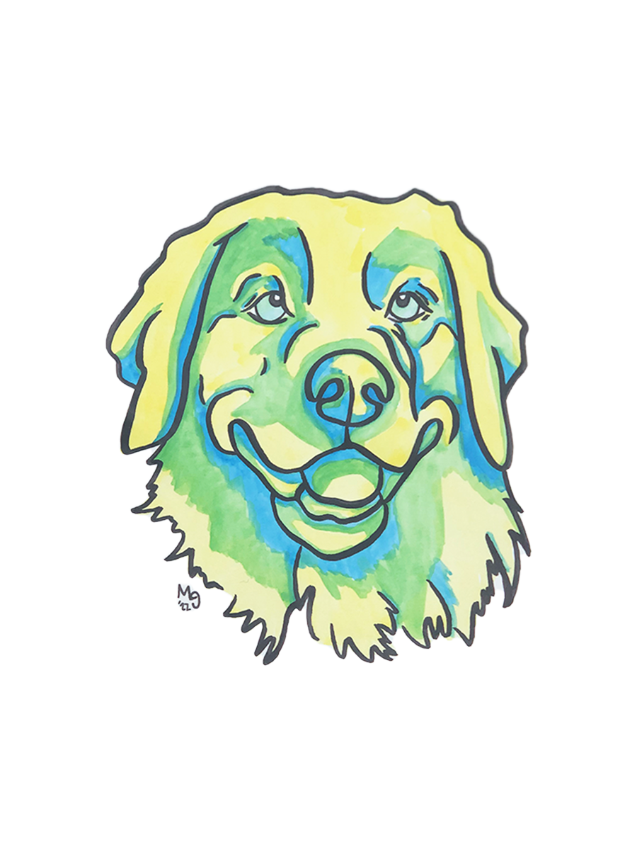 Retriever Colorful Pet Portrait