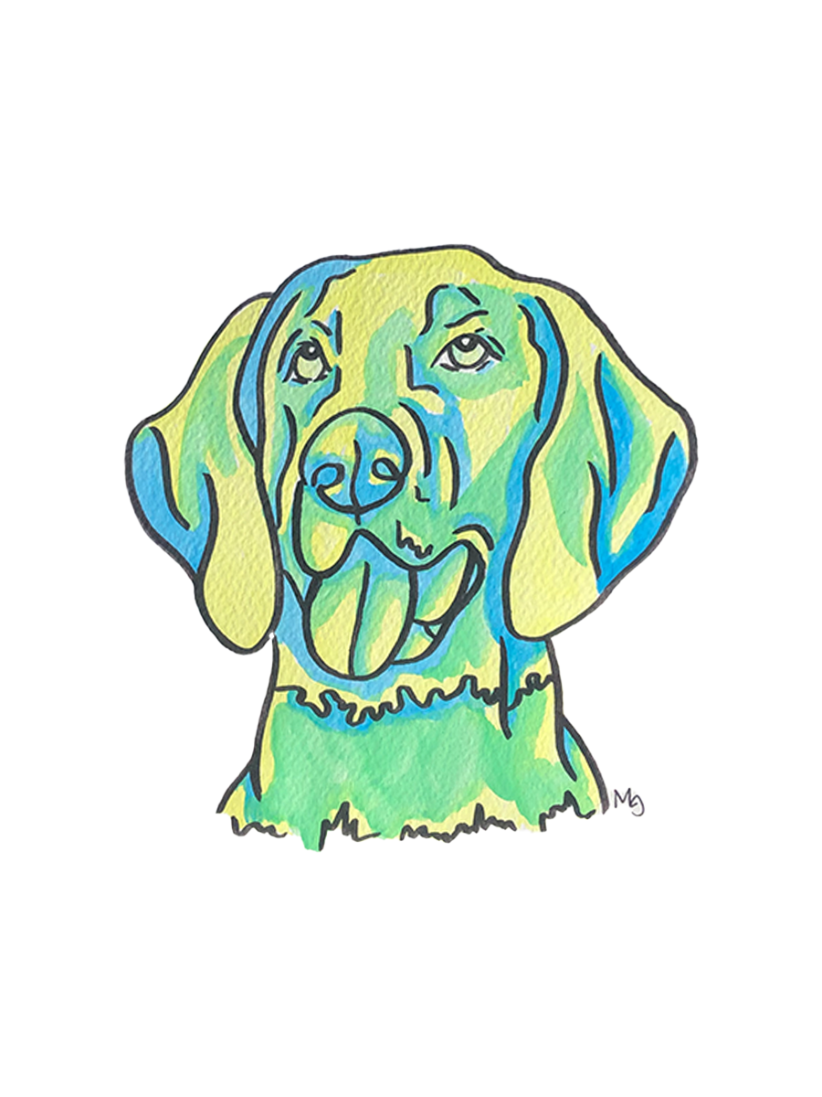 German Shorthaired Pointer Colorful Pet Portrait