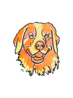 Retriever Colorful Pet Portrait