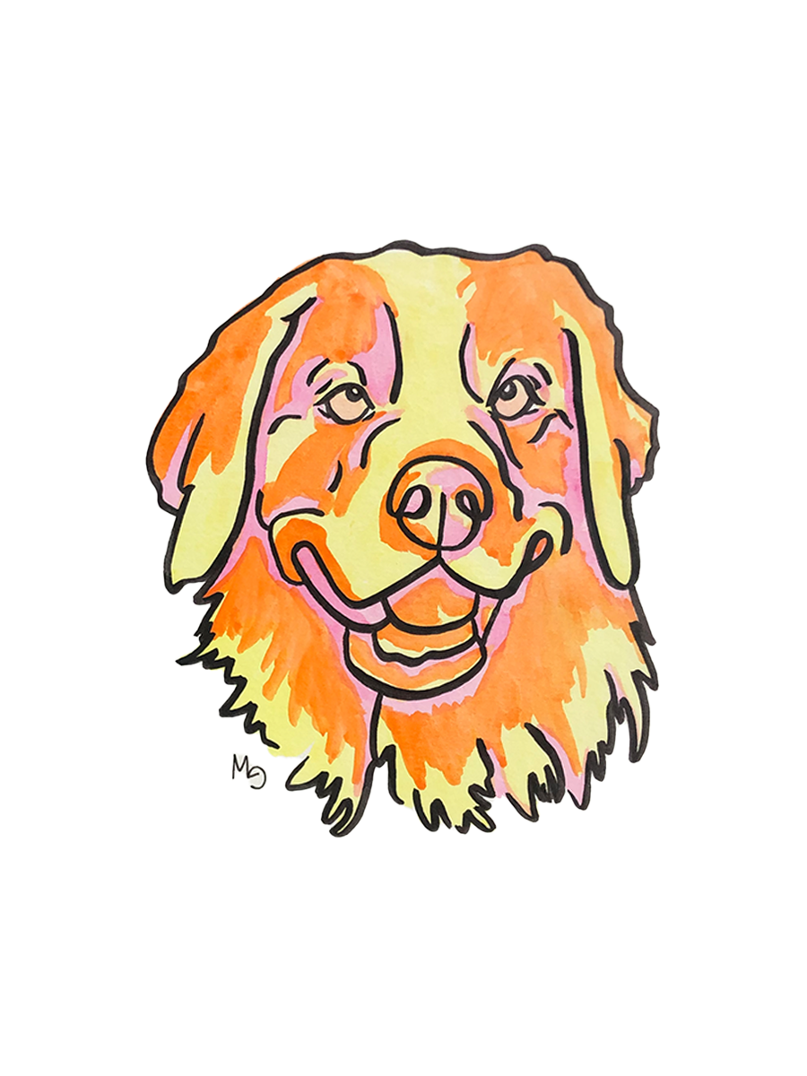 Retriever Colorful Pet Portrait