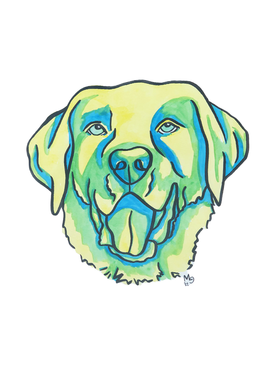 Labrador Colorful Pet Portrait