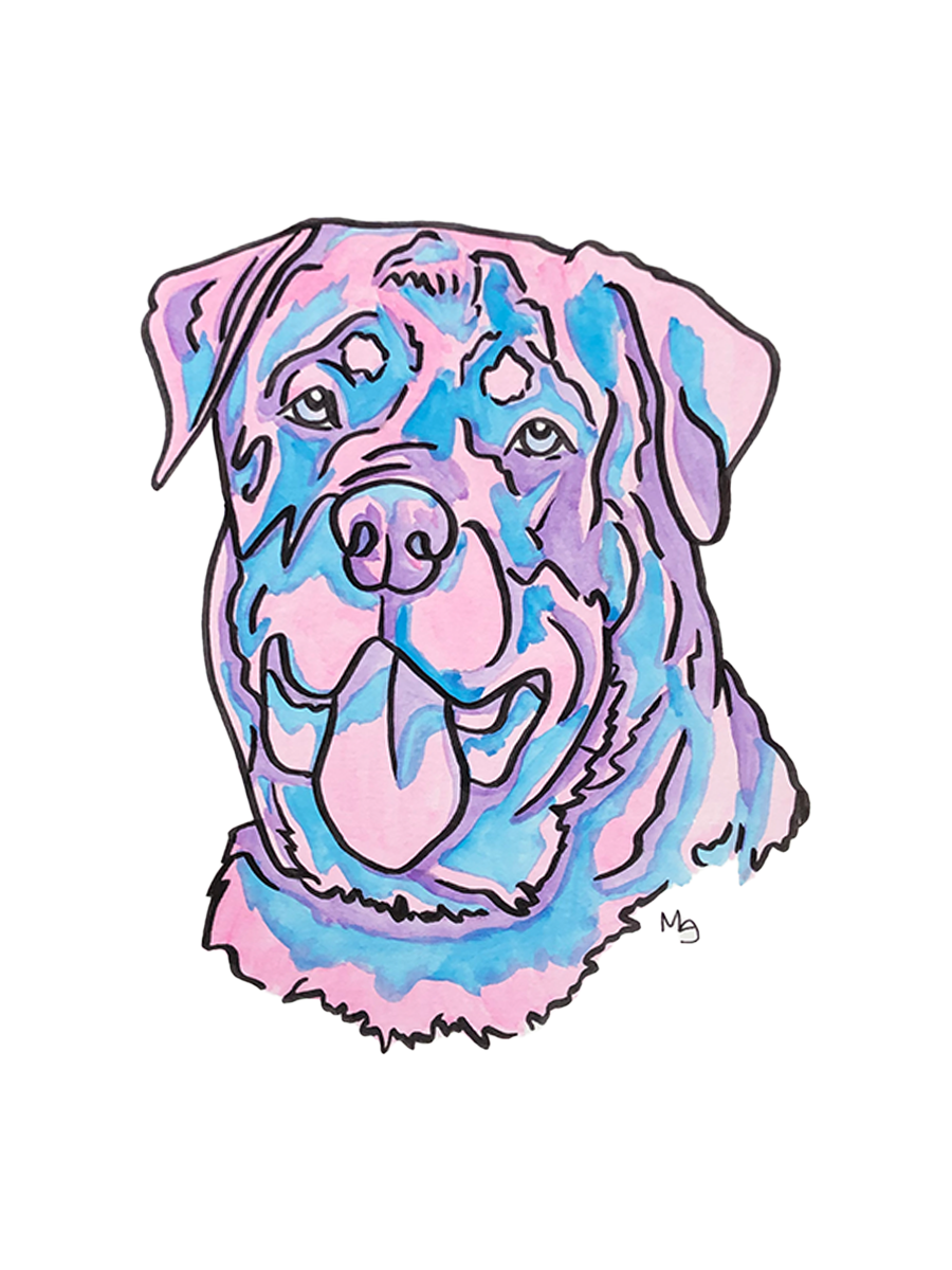 Rottweiler Colorful Pet Portrait