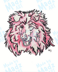Collie