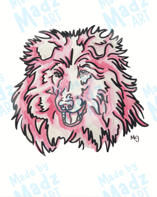 Collie