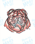 Bulldog in Red and Black