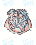 Bulldog in Red and Blue