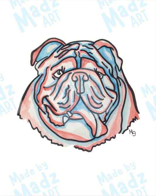 Bulldog in Red and Blue