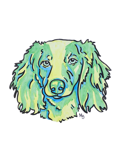 Dachshund (Long Haired) Colorful Pet Portrait