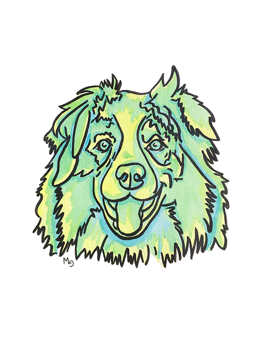 Australian Shepherd Colorful Pet Portrait