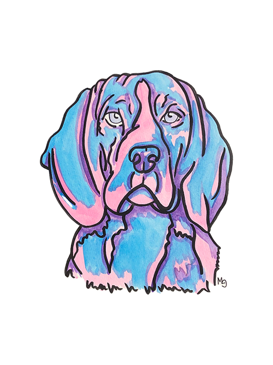 Beagle Colorful Pet Portrait
