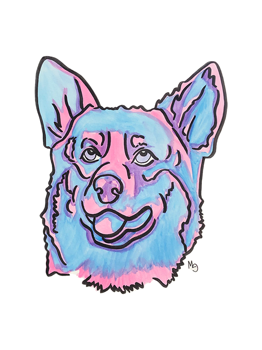 Corgi Colorful Pet Portrait