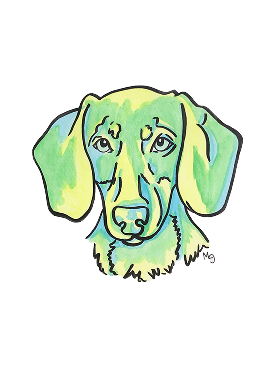 Dachshund (Short Haired) Colorful Pet Portrait