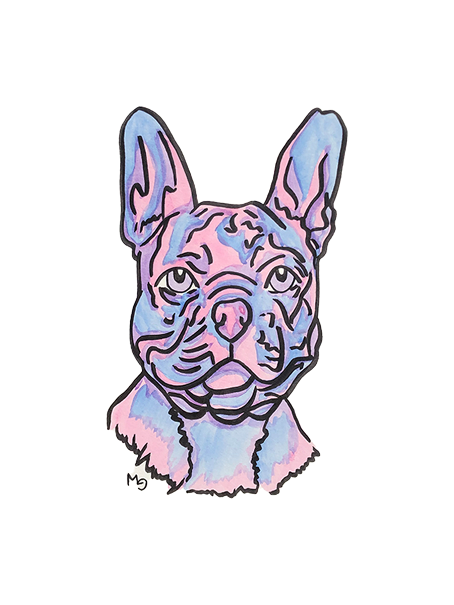 French Bulldog Colorful Pet Portrait