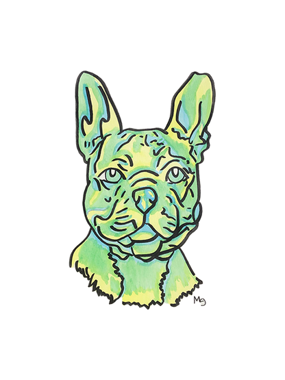 French Bulldog Colorful Pet Portrait