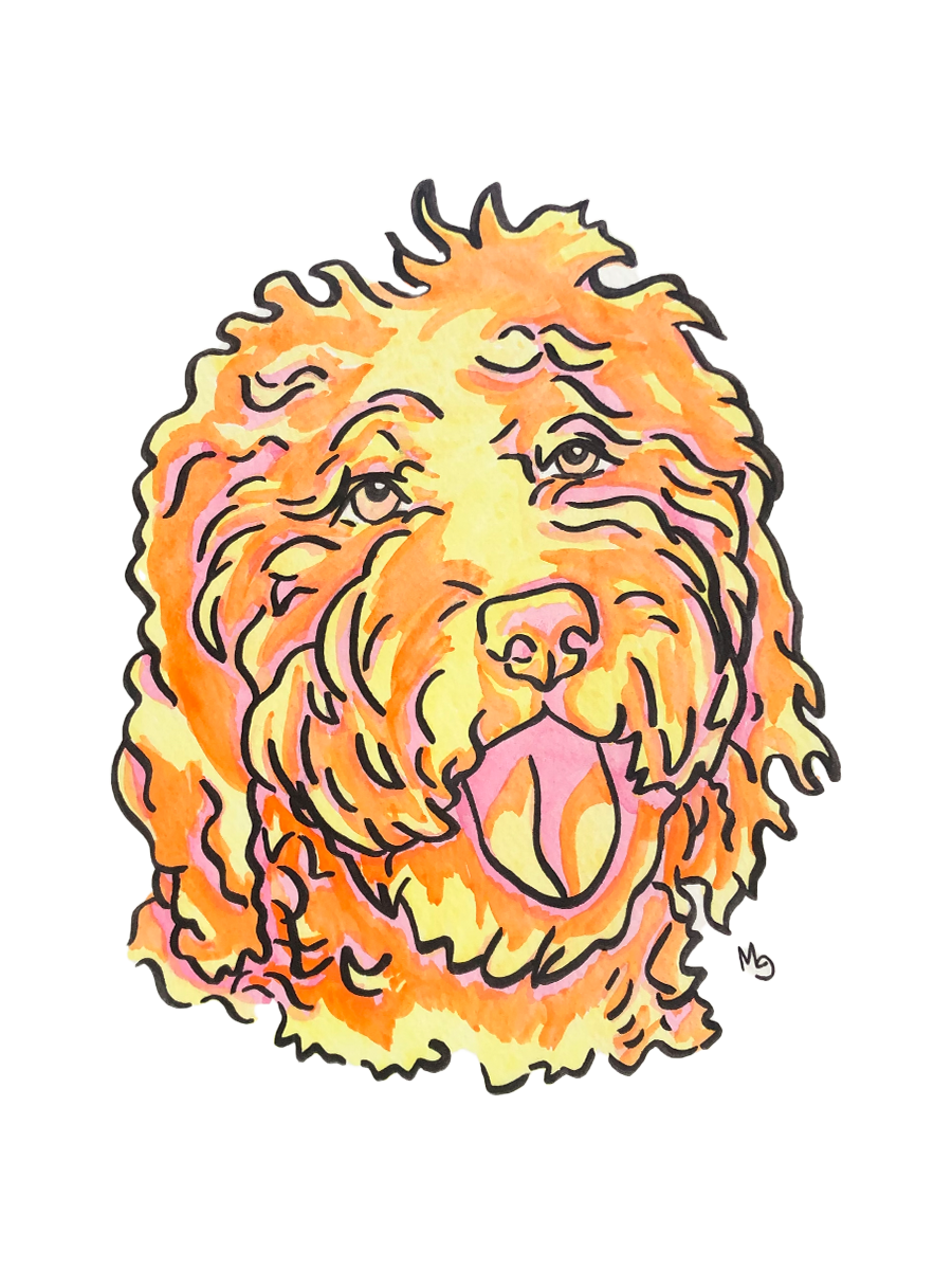 Labradoodle Colorful Pet Portrait